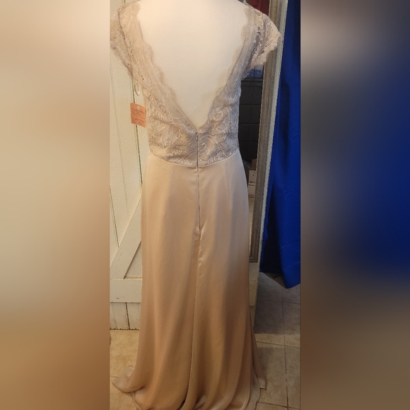 Jim Hjelm Champagne Shimmer Dress - Picture 3 of 4